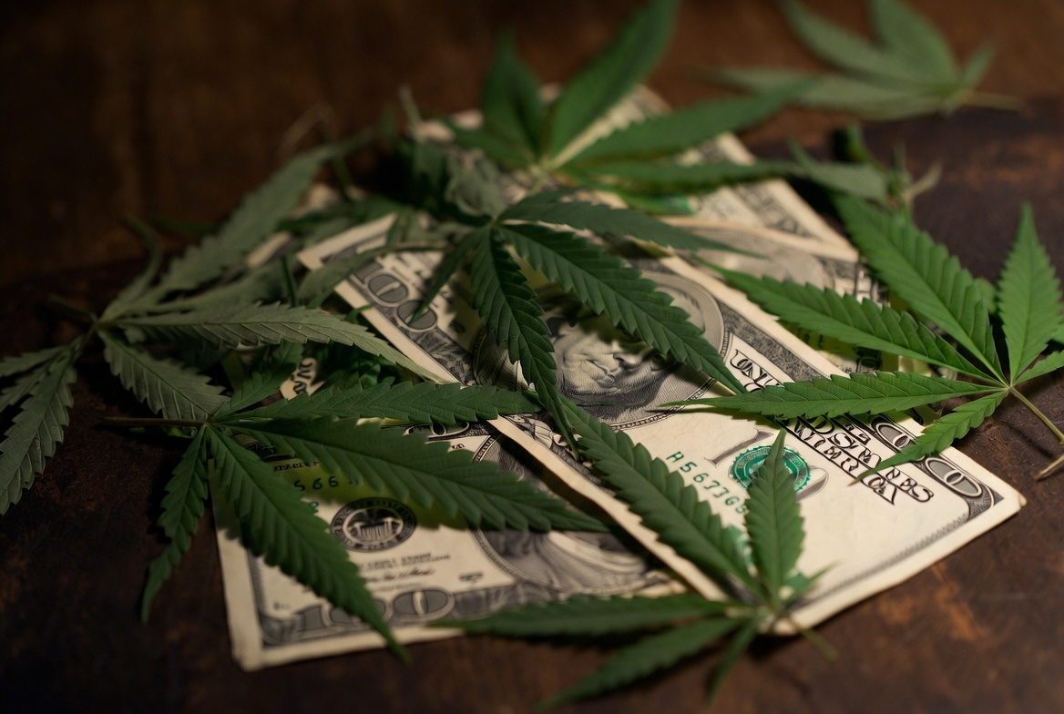Cannabis leaves and hundred dollar bills